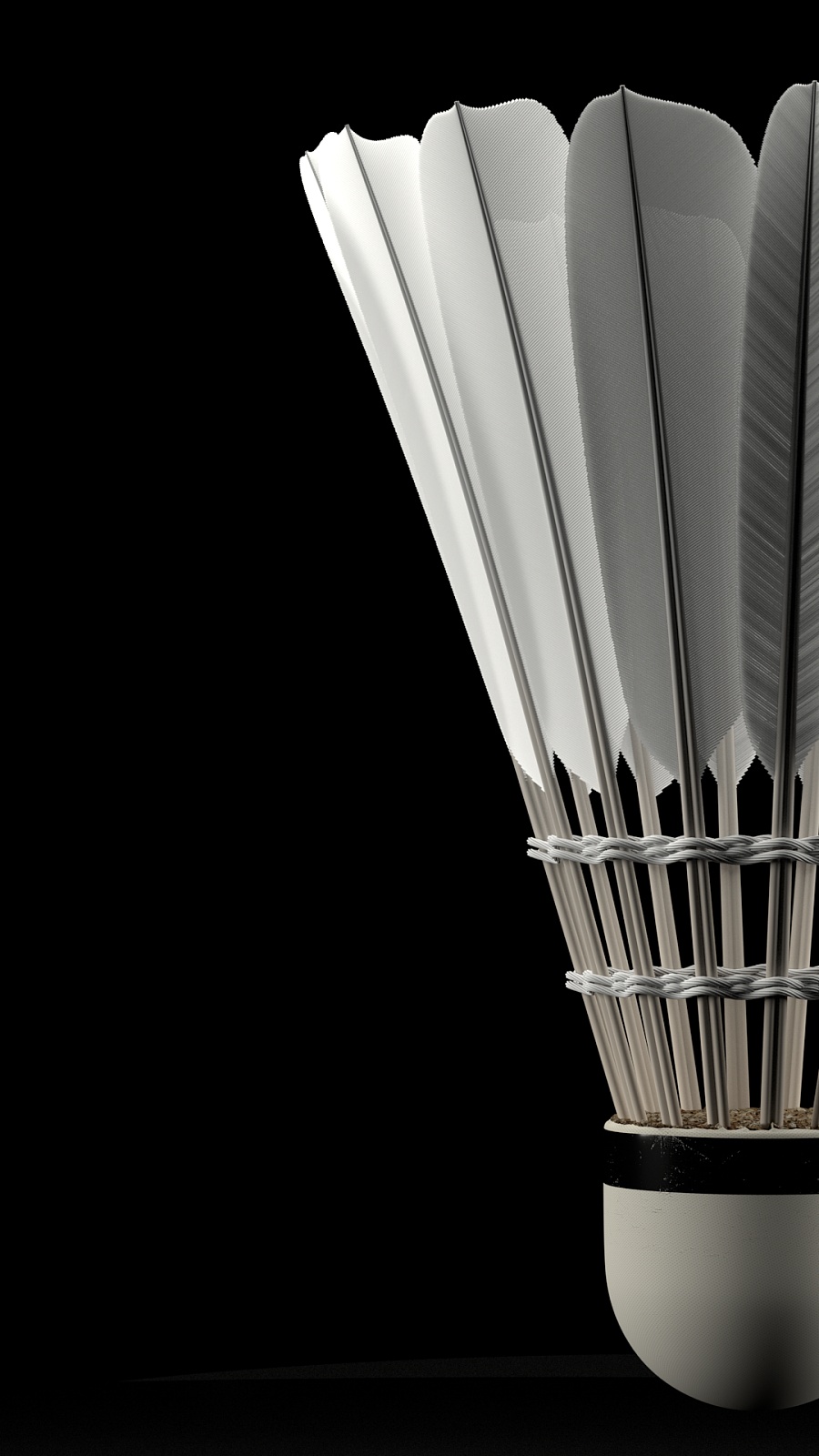 才能在世界 才能在世界