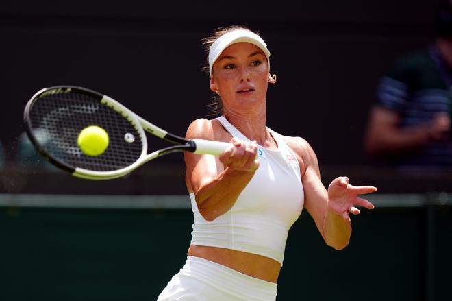 为我们呈现 为我们呈现